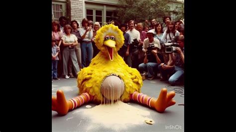 1983 big bird gives birth video